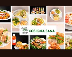 Cosecha Sana (Plaza Cd. Jardín Neza)
