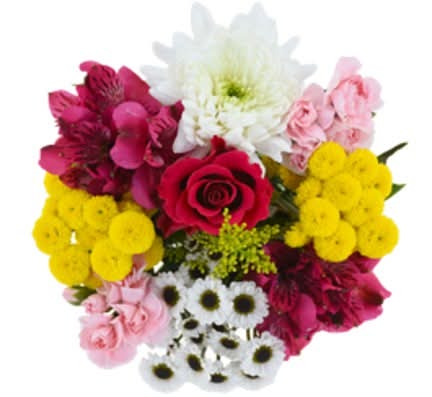 Dierbergs Flowers & Gifts Garden Song Bouquet (1 ea)