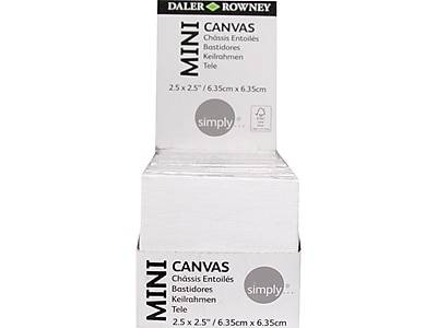 Daler-Rowney Mini Stretched Canvases (6.35cm x 6.35cm/white)