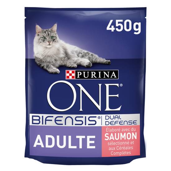 Croquettes pour chat Adulte saumon PURINA ONE 450g