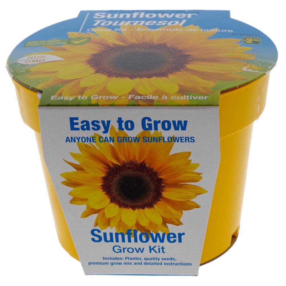 Sunflower Easy To Grow Kit