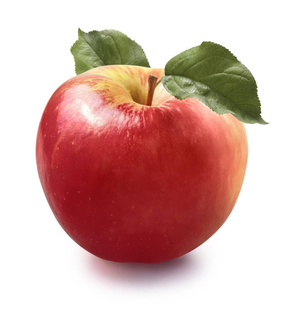 Honeycrisp Apple