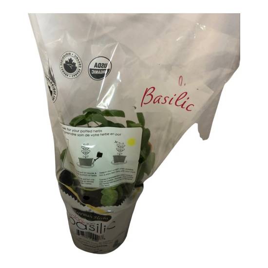 Organic Basil (1 unit)