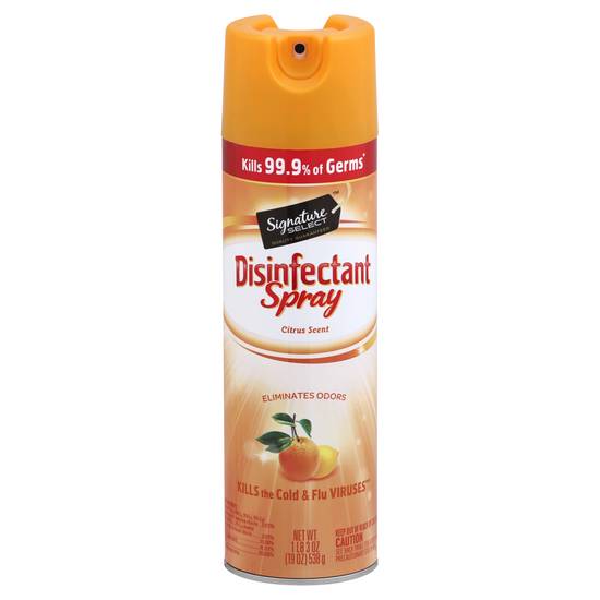Signature Select Citrus Scent Disinfectant Spray (19 oz)