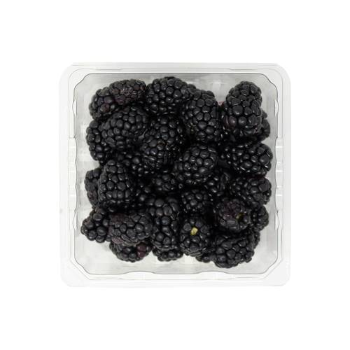 BONA FRUIT Blackberries