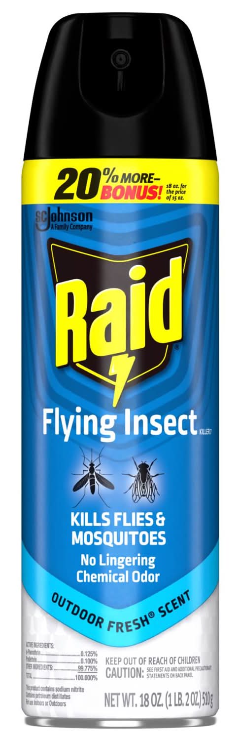 Raid Insect Killer Aerosol 18 Oz