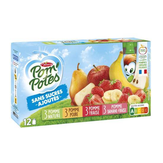 Pom'Potes Compotes de pommes - Parfums abricot, poire, fraise, banane et pomme 12x90 g