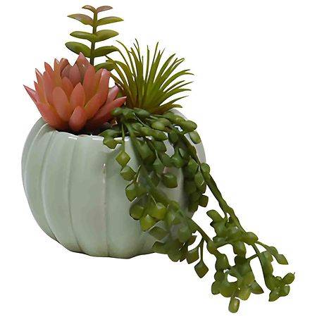 Festive Voice Pumpkin Ceramic Succulent - 1.0 ea