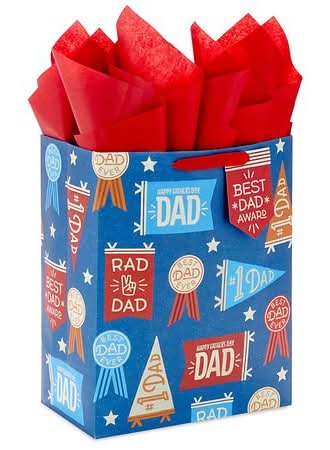 Hallmark Best Dad Award Father's Day Gift Bag With Tissue Paper, Large, Blue-Red