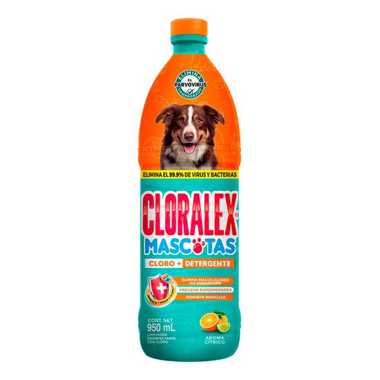 Cloralex desinfectante de áreas para tus mascotas (botella 950 ml)