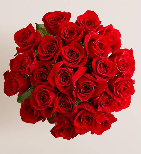 Two Dozen Red Roses Bouquet