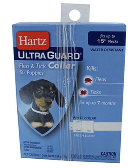 Fancy Pets · Collar antipulgas para perros chicos y cachorros (80 g)