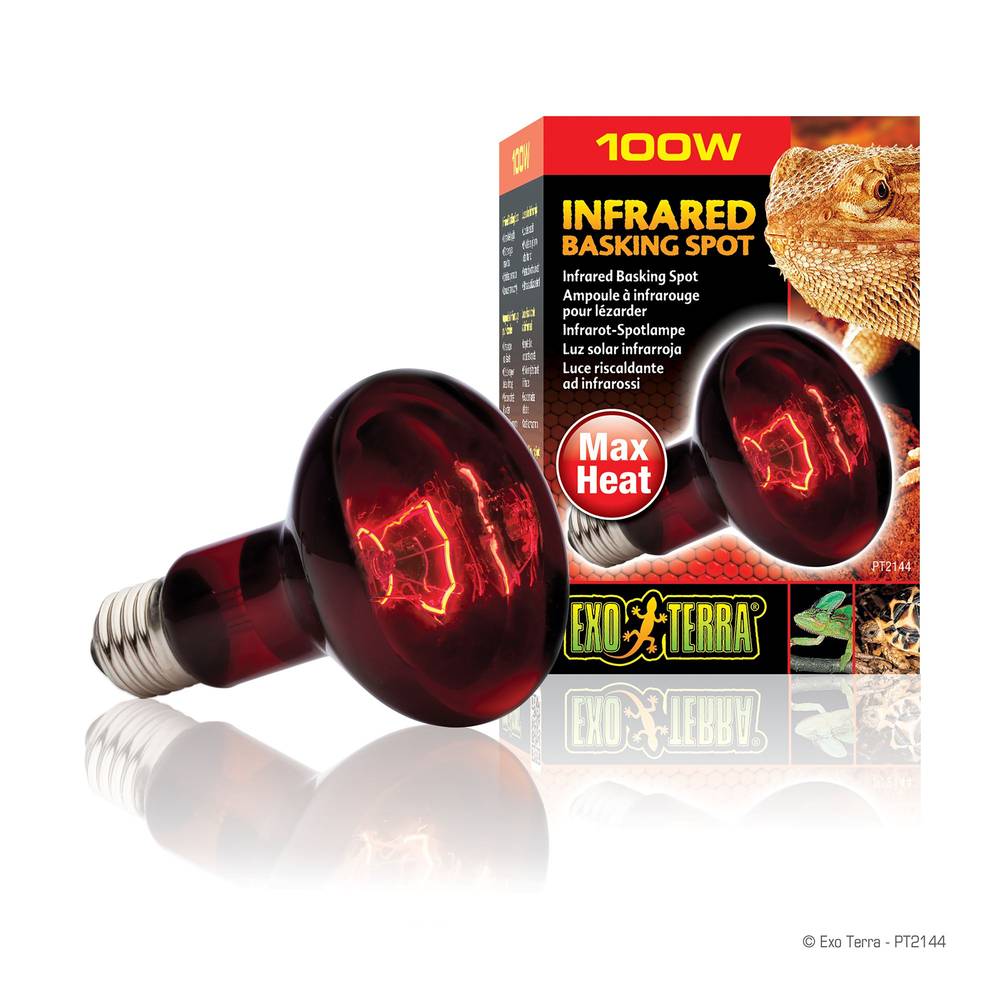 Exo Terra® Infrared Basking Spot (Size: 100W)