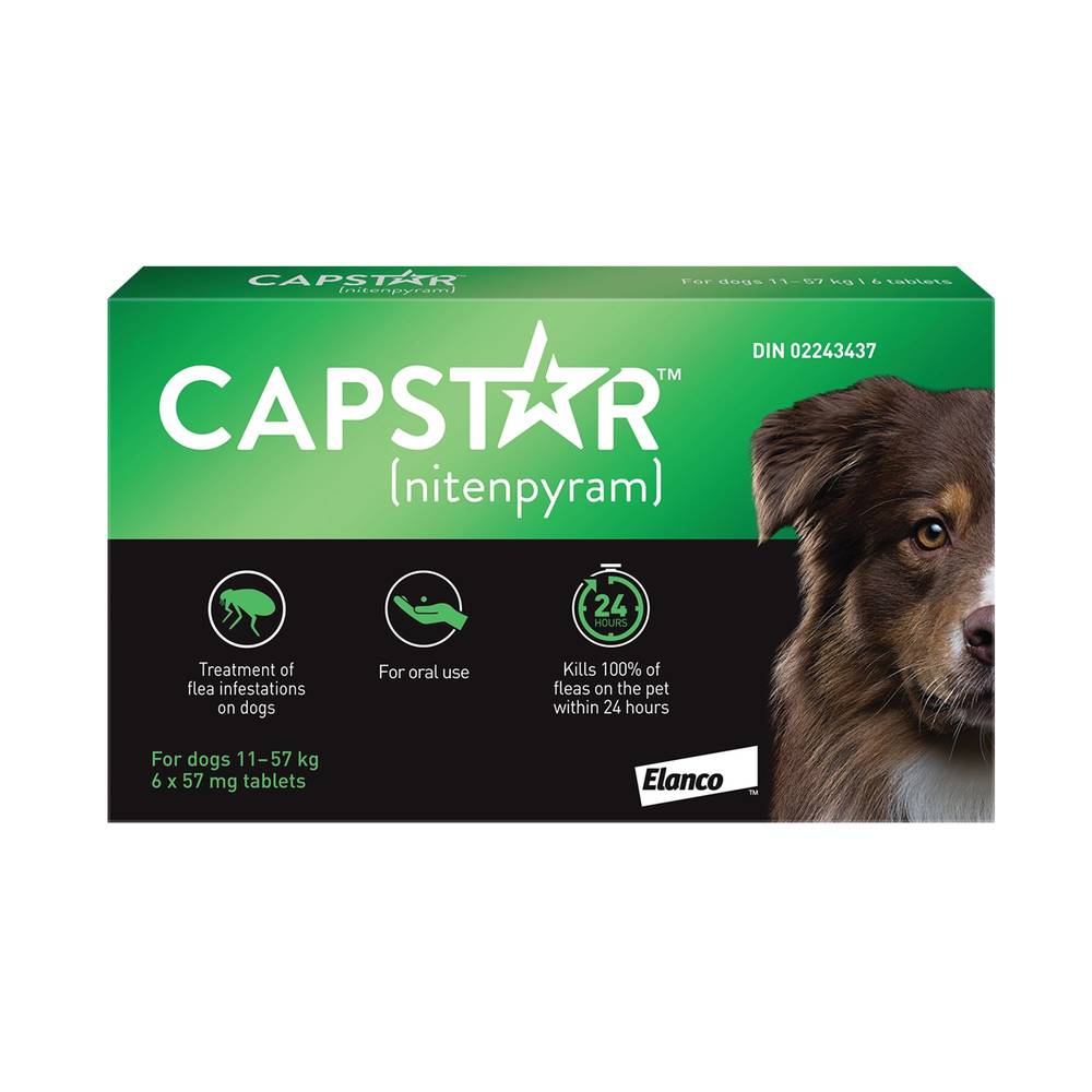 Capstar™ Large Dog Flea Treatment - 6 Count (Size: 6 Count)