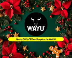 Wayu (Jorge Alessandri Talcahuano)
