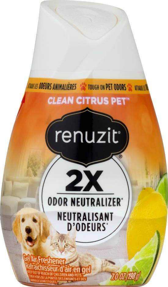 Renuzit Clean Citrus Pet Gel Air Freshener