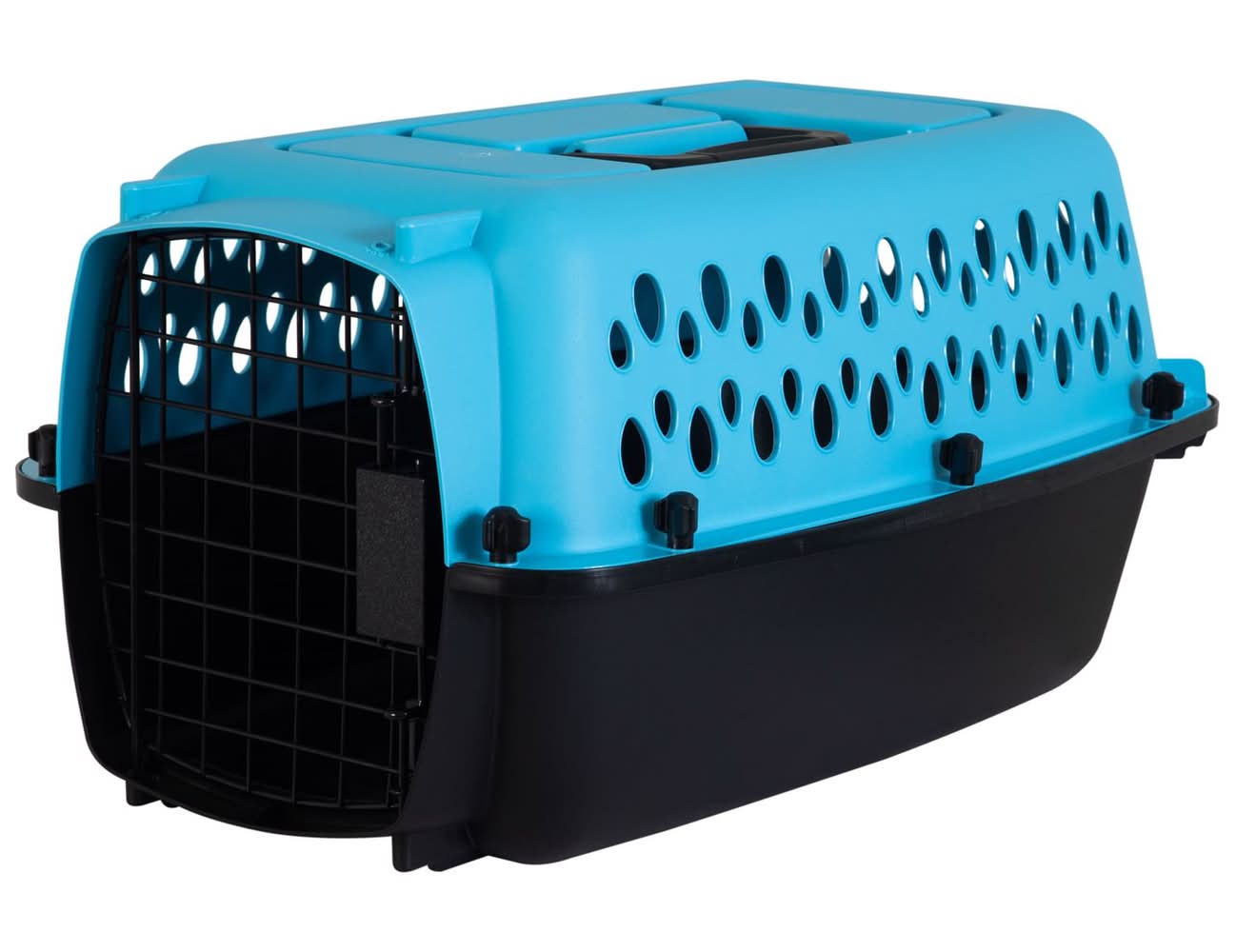 Aspen Pet Pet Porter Medium Plastic Pet Kennel Multicolored 10 In. H X 12.6 In. W X 19 In. D