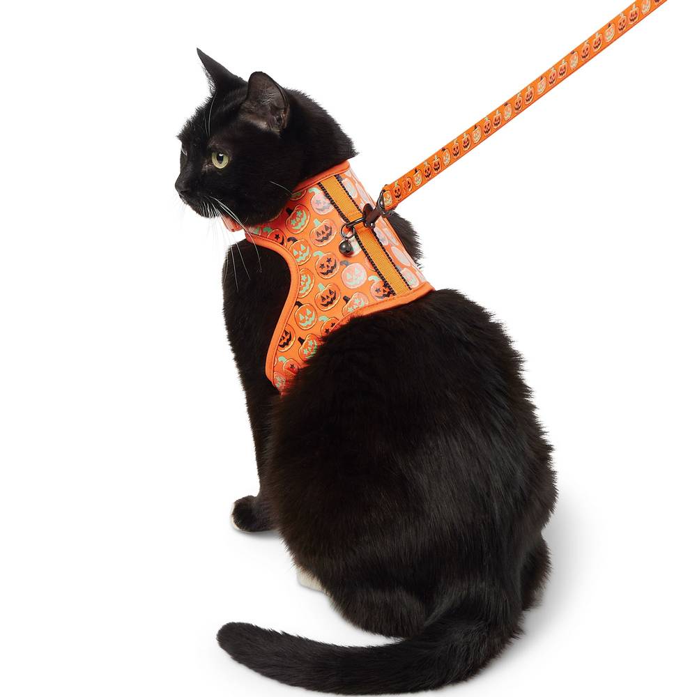 Thrills & Chills Pumpkin Kitten Harness & Leash (orange)