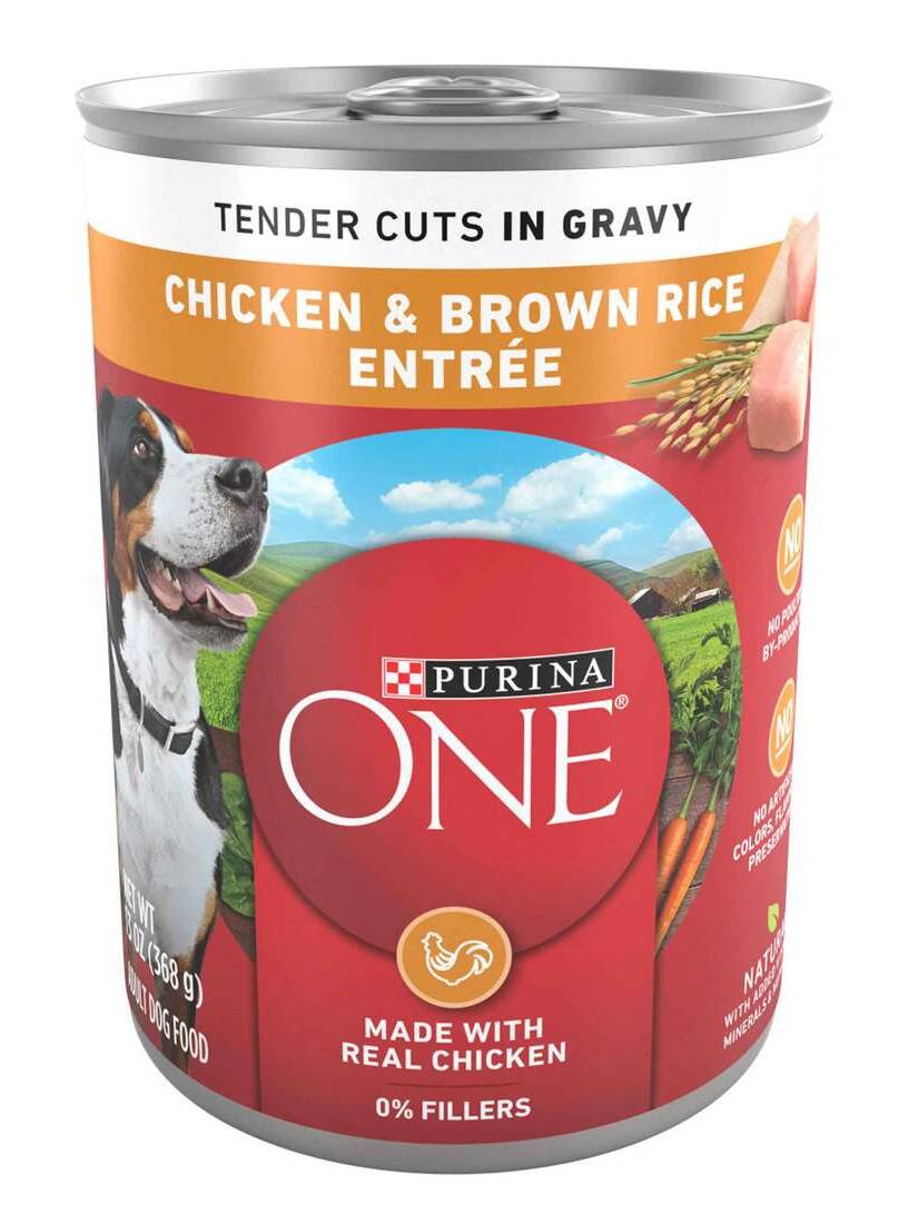 Purina One Tender Cuts in Gravy Chicken and Brown Rice Wet Dog Food (13 oz)