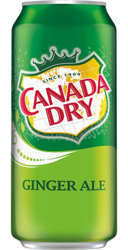 Canada Dry Ginger Ale Can 16oz