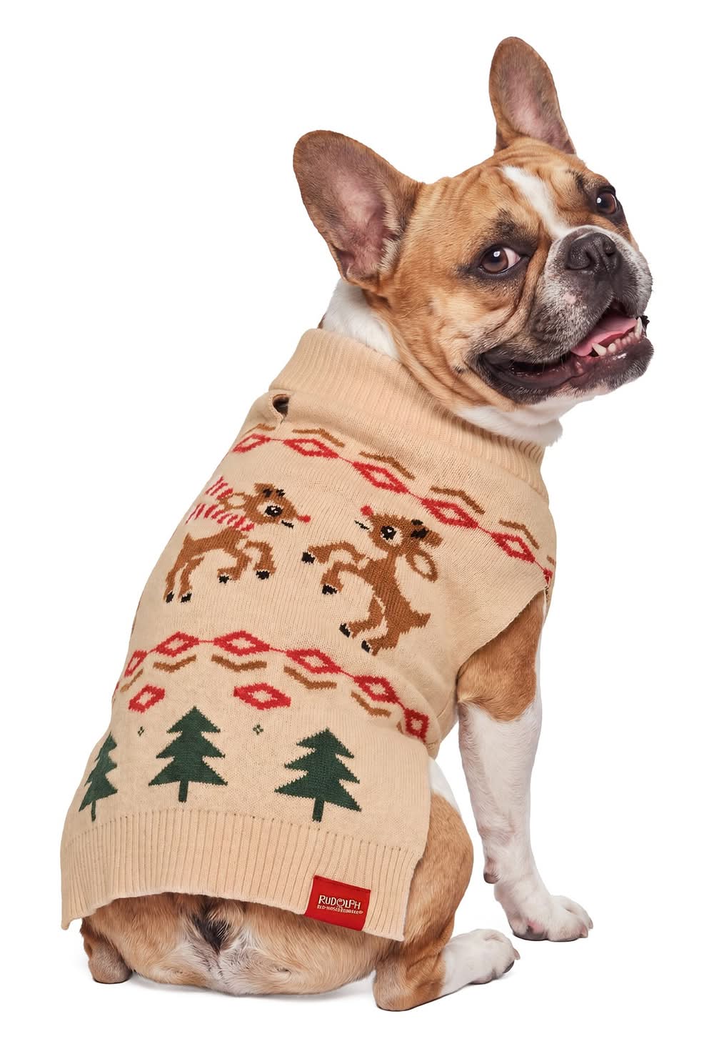 Rudolph The Red-Nosed Reindeer Holiday Dog Sweater, Multiple Sizes, XS-XL (Color: Multi Color, Size: Medium)