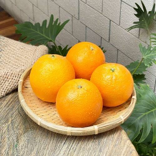 美國臍橙(4粒/組)
