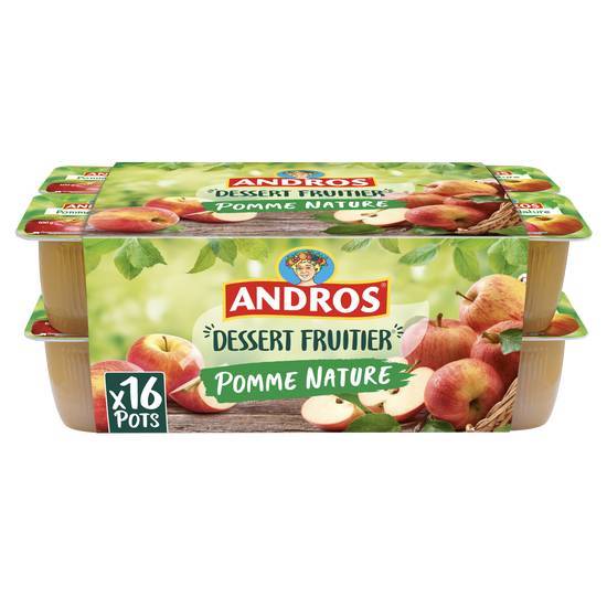 Dessert fruitier pommes nature - andros - 1,6kg (16 * 100g)