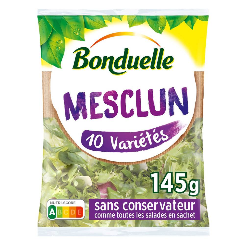 Bonduelle - Mesclun 10 variétés