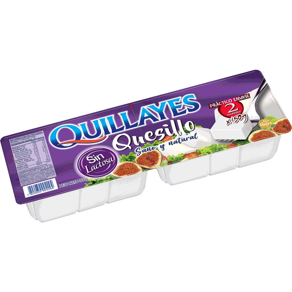 Quillayes quesillo sin lactosa (pote 300 g)