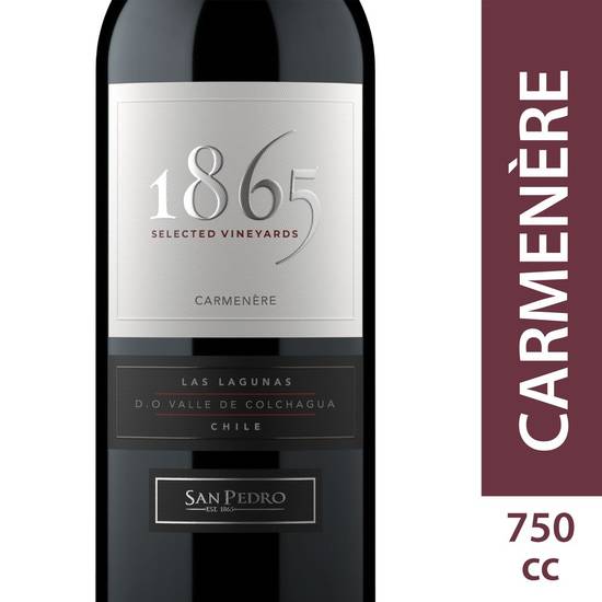 1865 Vino carménère single vineyard (botella 750 ml)
