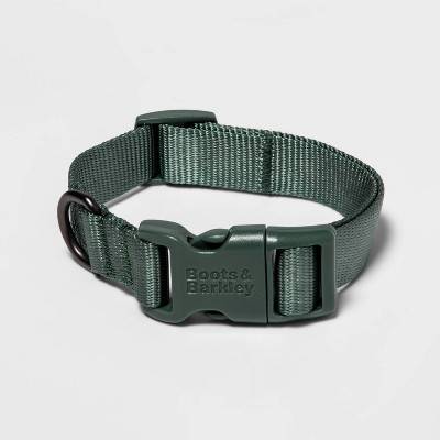 Boots & Barkley Basic Dog Adjustable Collar With Color Matching Buckle, XS, Green