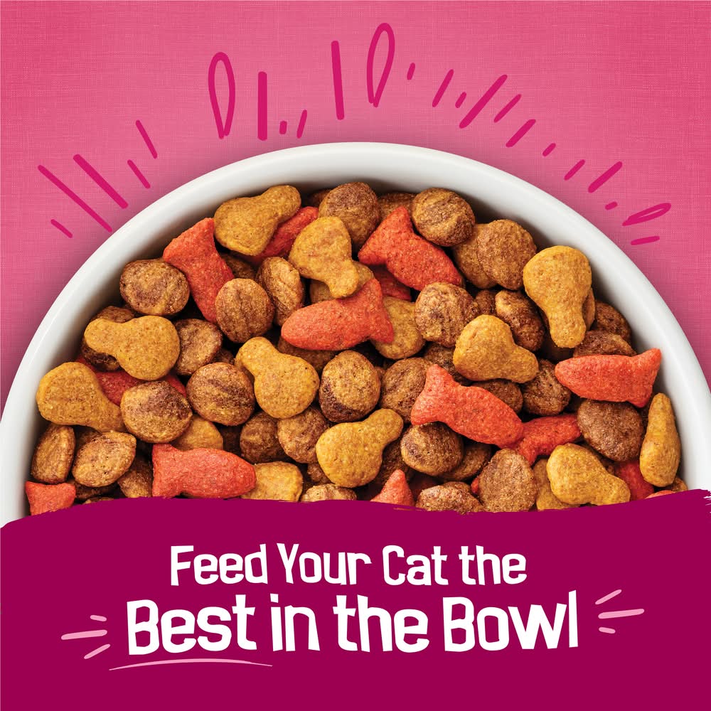 are elevated food bowls good for cats Elevated Cat Food Bowl, Ceramic Raised Cat Bowl, Tilt Angle Protect Ca   MJ's Pet Closet