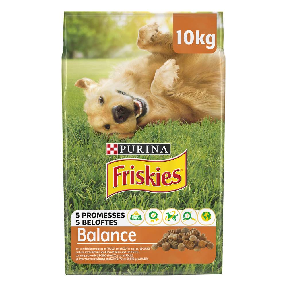 Purina - Croquettes pour chien