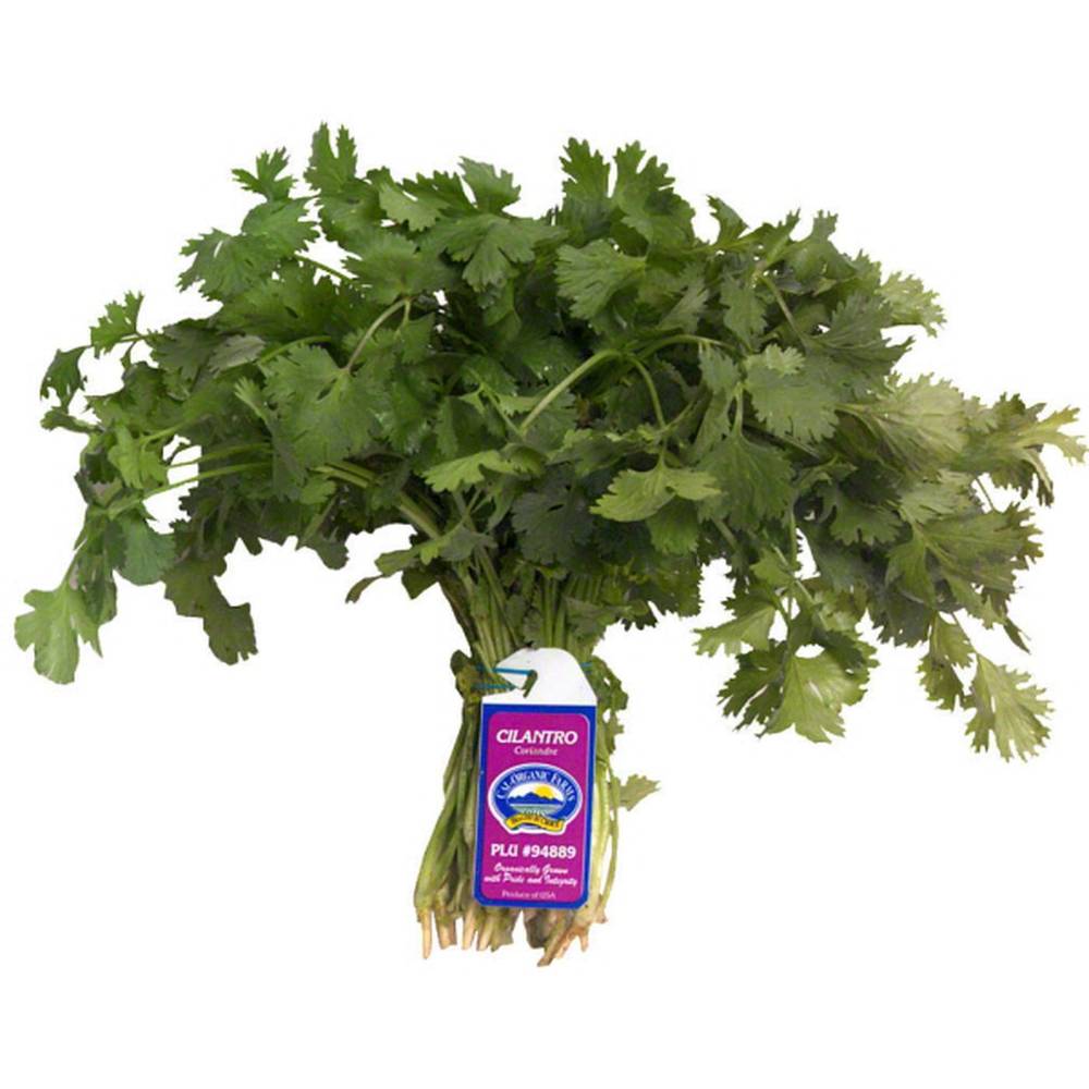 Organic Cilantro 1 Ea