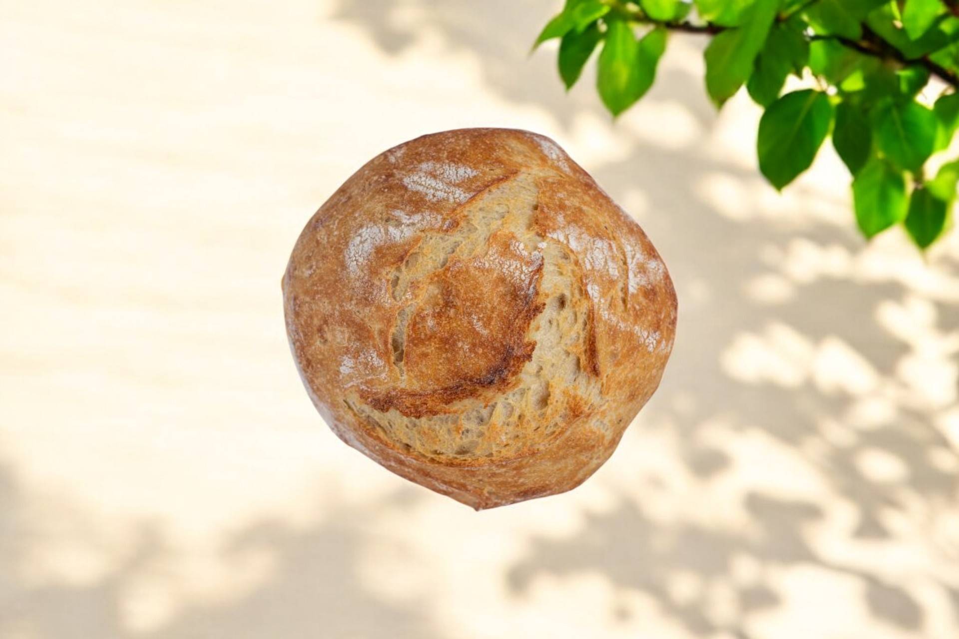 Boule de Tradition 🥖🥖