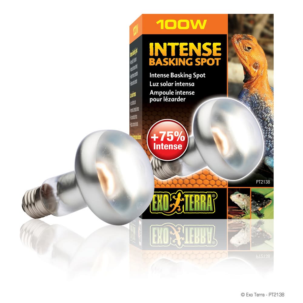Exo Terra® Intense Basking Spot Light (Size: 100 Watts)