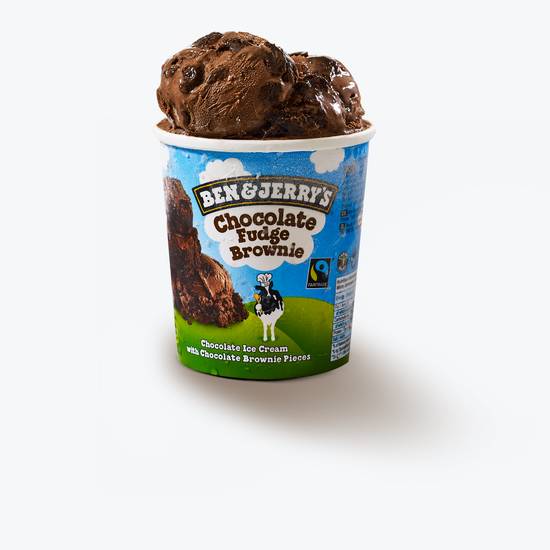 Ben & Jerry's Chocolate Fudge Brownie 458ml Tub