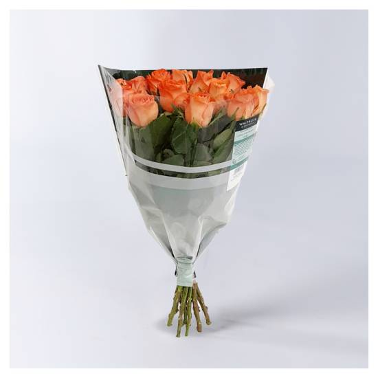 Waitrose & Partners Mixed Long Stem Roses