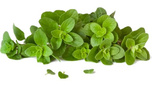 Vrino Oregano 40g
