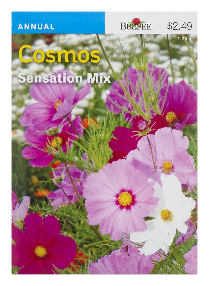 Burpee Cosmos Sensation Mix