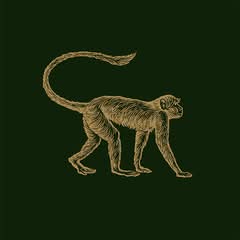 Mowgli Street Food (Newcastle)