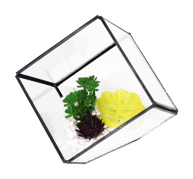 Bambeco Glass Metal Square Terrarium With Succulents, 5 in