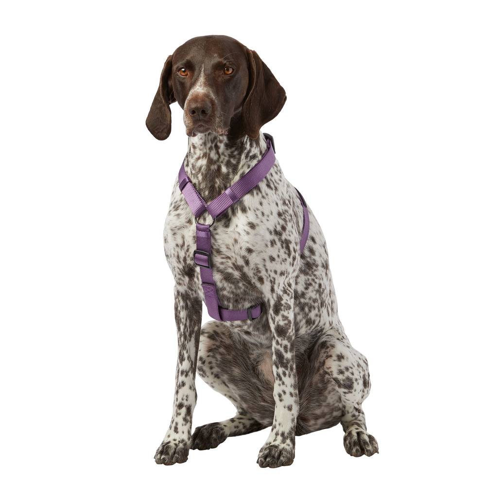 Top Paw Gunmetal Adjustable Dog Harness, Large, Purple