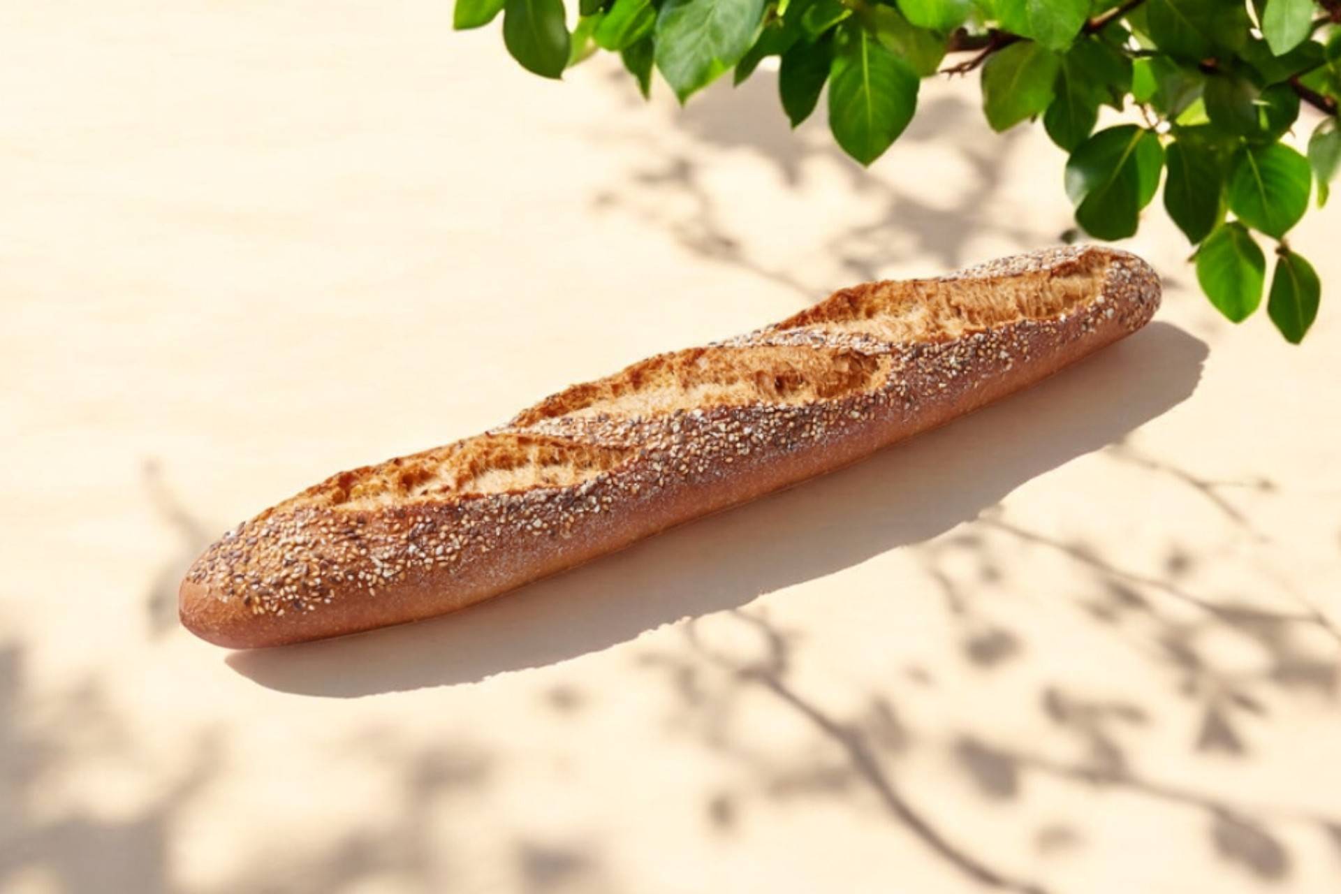 Demi Tradition Céréales🥖🥖
