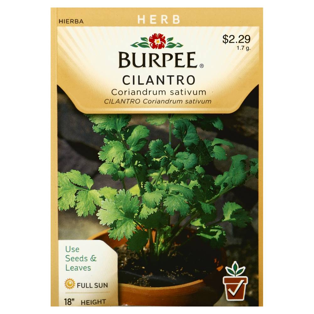 Burpee Cilantro Coriandrum Sativum Herb Seeds (1.9 g)