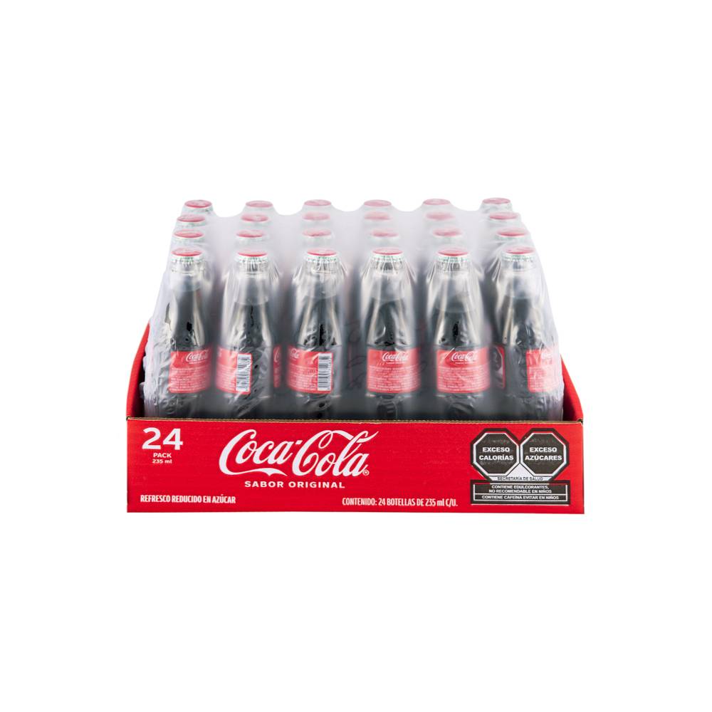 Coca-Cola · Refresco (235 ml)