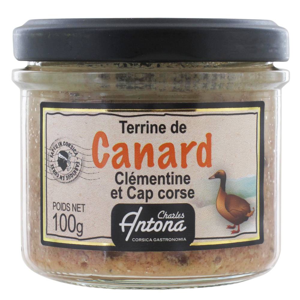 Charles Antona - Terrine de canard clémentine