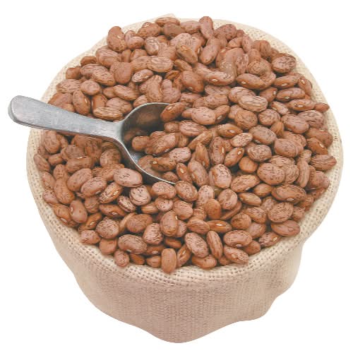 Organic Pinto Beans