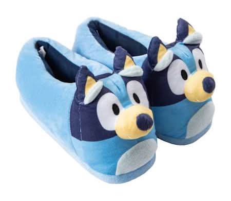 Standard Size 3D Slippers Medium Bluey