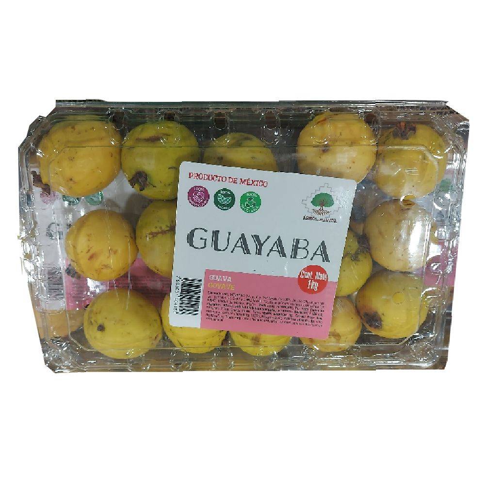 guayaba